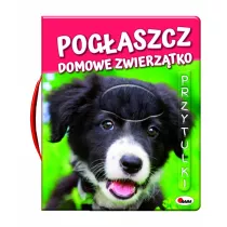Pogaszcz Domowe Zwierztko. Przytulki