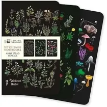 Flame Tree Zestaw 3 notatnik�w MINI Zio�a Anna Stead