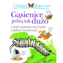 Ciekawe dlaczego gsiennice jedz tak duo