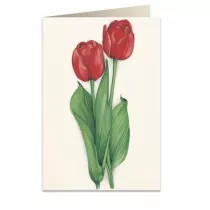 Tassotti Karnet B6 + koperta 7517 Czerwone tulipany
