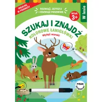 Szukaj i znajd. Kolorowe amigwki. W lesie