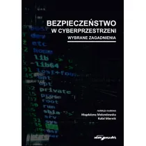 Bezpiecze�stwo w cyberprzestrzeni. Wybrane zagadnienia