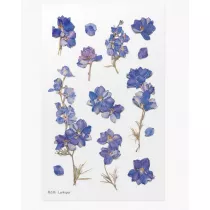 Appree Naklejki ozdobne kwiaty Ostrka