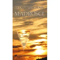 Figury i znaczenia m�dro�ci