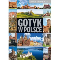 Cudze chwalicie. Gotyk w Polsce