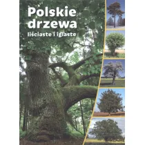 Polskie drzewa li�ciaste i iglaste