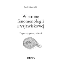 W stron� fenomenologii niezjawiskowej