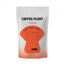 Coffee Plant Kawa ziarnista Flow Juicy Fruit Filter 100 g