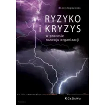 Ryzyko i kryzys w procesie rozwoju organizacji