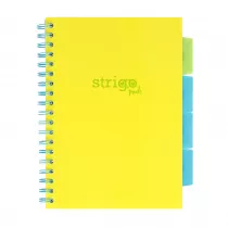 Koozeszyt Strigo B5 Project Book Neon ty w lini