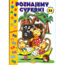 Poznajemy cyferki - 32 naklejki Pasja
