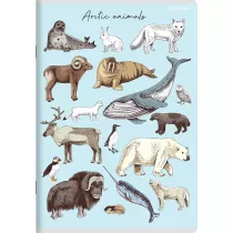 Top-2000 Zeszyt A5 z marginesem Kratka, 5 mm, margines 32 kartki