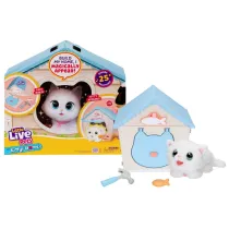 Little Live Pets kotek z domkiem Cobi