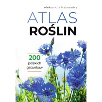 Atlas rolin