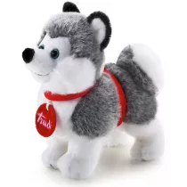 Plusz Husky Trudino