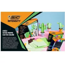Bic Zestaw Intensity Paper Cactus