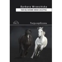 Tam si� si�dme niebo zaczyna (Tomik poezji)