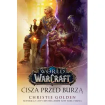 Cisza przed burz�. World of Warcraft