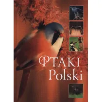 Ptaki Polski