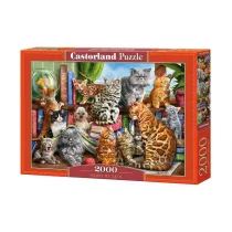 Puzzle 2000 el. House of Cats Castorland