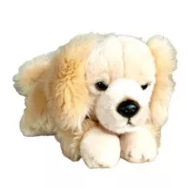 Pies Retriver le��cy Dubi Plusz