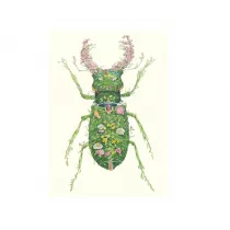 DM Collection Karnet B6 + koperta Chrz�szcz