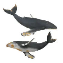 Wieloryb Humbak