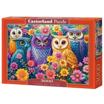 Puzzle 3000 el. Flower Owl Meeting Castorland