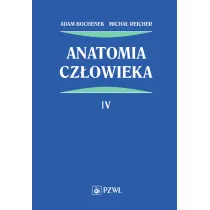 Anatomia cz�owieka. Tom 4