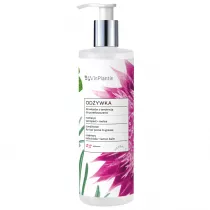 Vis Plantis Od�ywka do w�os�w przet�uszczaj�cych si� Rozmaryn & Ostropest Conditioner For Hair Prone To Grease 400 ml