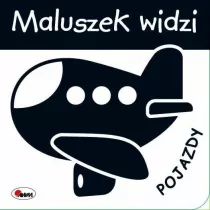 Maluszek widzi pojazdy