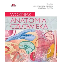 Anatomia cz�owieka. Wo�niak