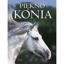 Pikno konia