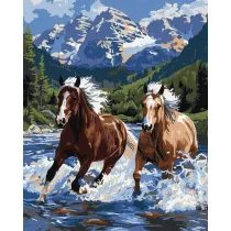 Ideyka Malowanie po numerach - Si�a w ruchu 40x50cm