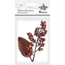 Titanum Ki�� jag�d z li�ciem