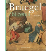 Bruegel. Zbli�enia