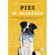 Pies w mie�cie (2024)