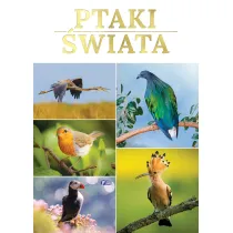 Ptaki �wiata