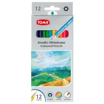 Toma Kredki szkolne drewniane 12 szt.