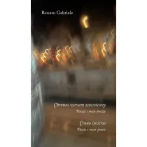Chronos wersem zawr�cony. Poezje i meta-poezje