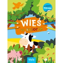 Wie� w kolorze