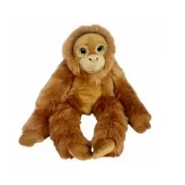 Orangutan big eyes 50cm Dubi
