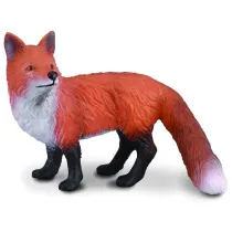 Lis pospolity