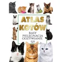 Atlas kotw