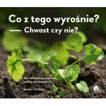 Co z tego wyronie? Chwast czy nie?