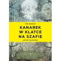 Kanarek w klatce na szafie