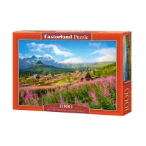 Puzzle 1000 el. Tatry Hala Gsienicowa Castorland