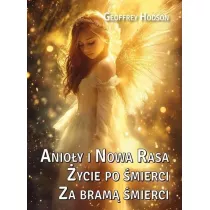 Anioy i Nowa Rasa. ycie po mierci. Za bram mierci