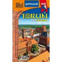 Toru. Multiprzewodnik