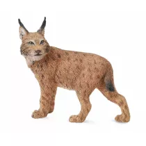 Ry